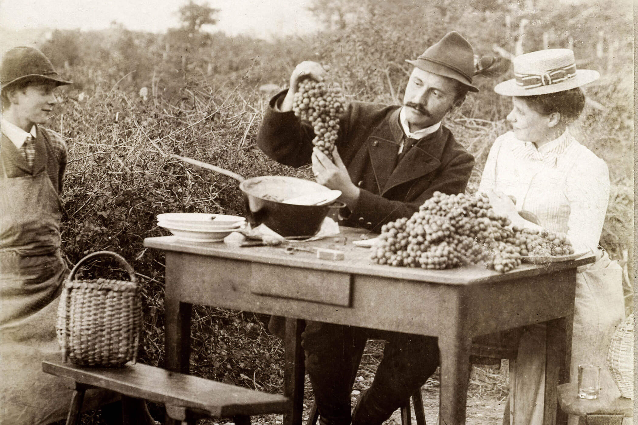 Picnic con l'uva