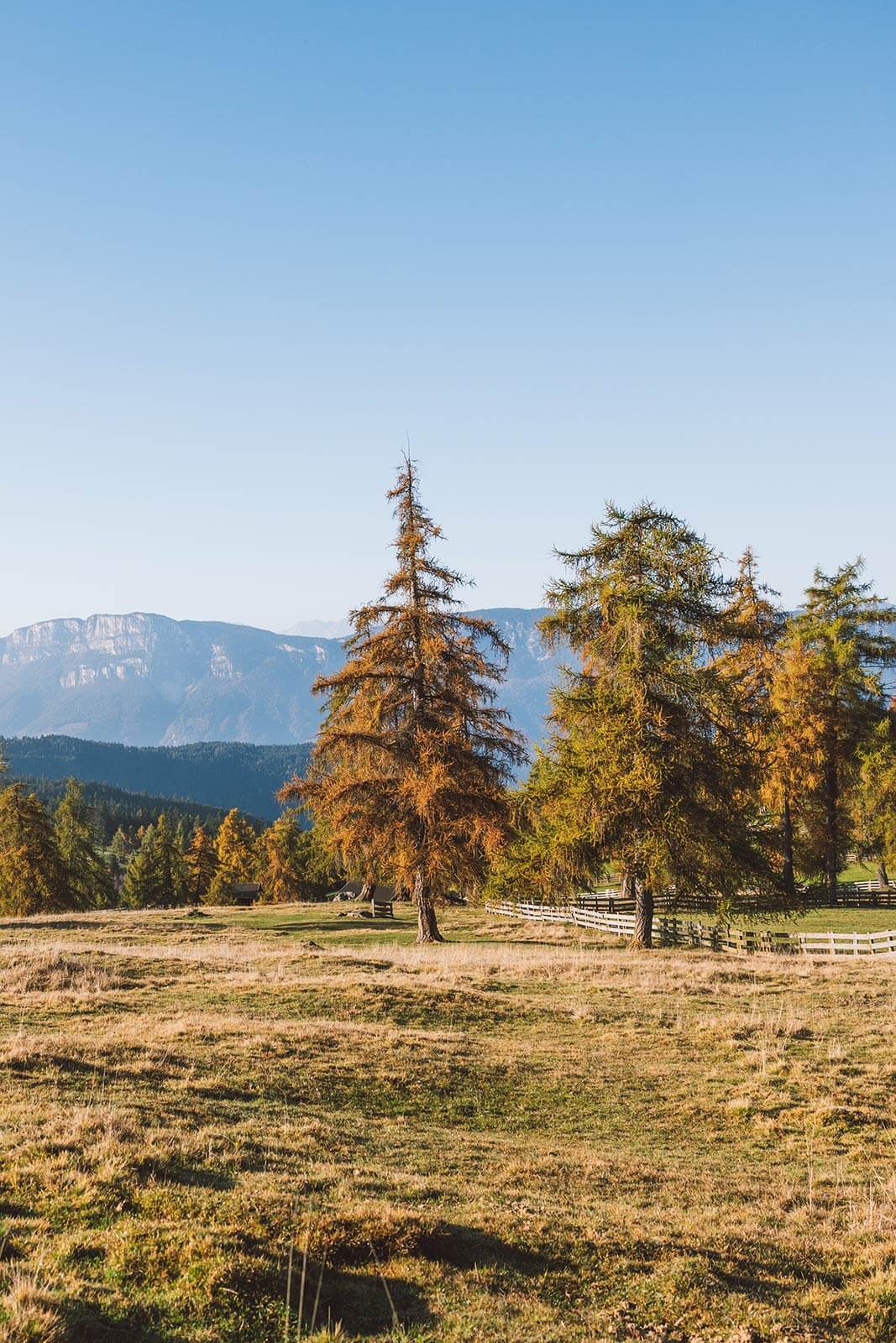 Offerta settimanale di ottobre
